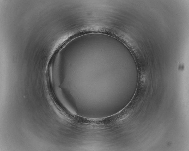 X0000094170678200710261109