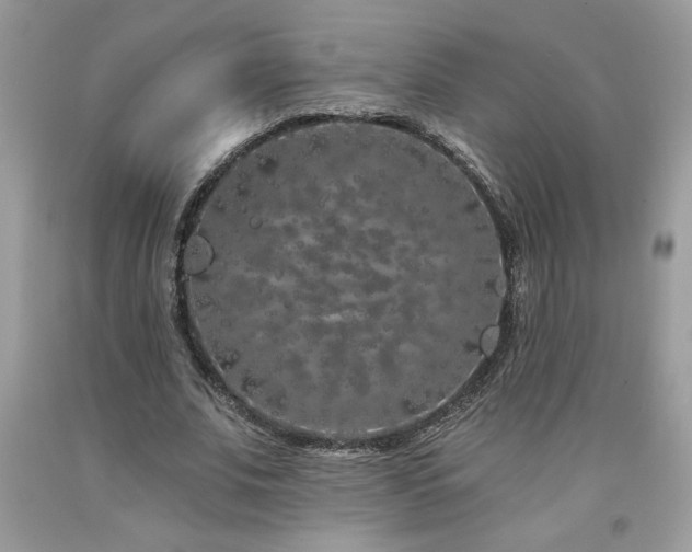 X0000094170679200710261109