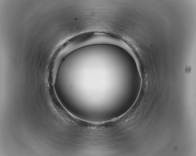 X0000094170680200710261109