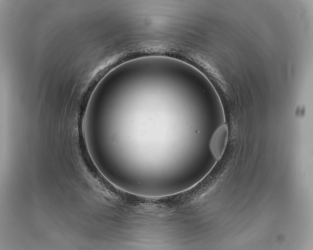 X0000094170681200710261109