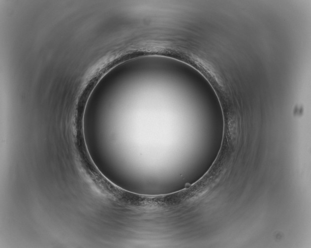 X0000094170682200710261109