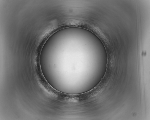 X0000094170683200710261109