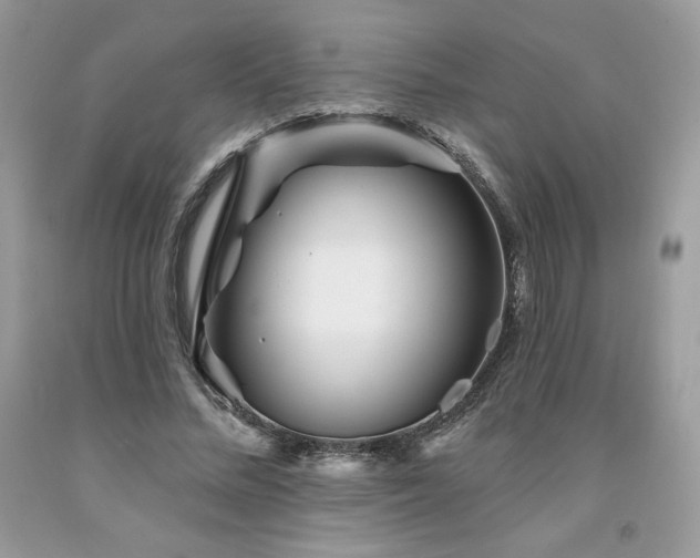 X0000094170684200710261109