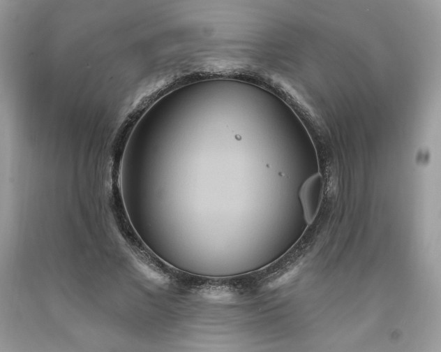 X0000094170685200710261109