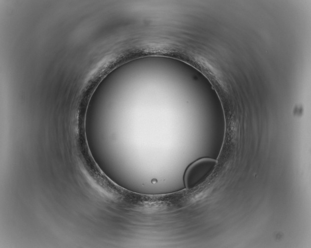 X0000094170686200710261109