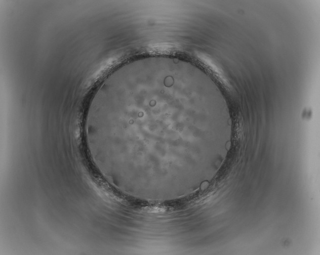X0000094170687200710261109