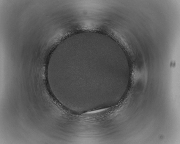 X0000094170689200710261109