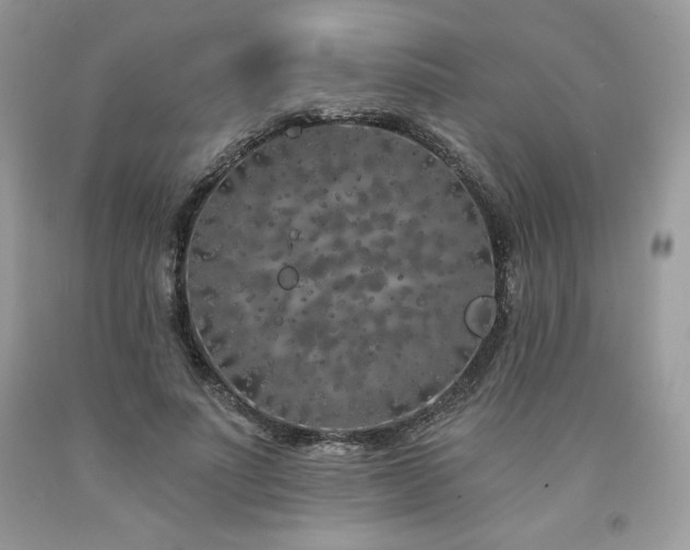 X0000094170691200710261109