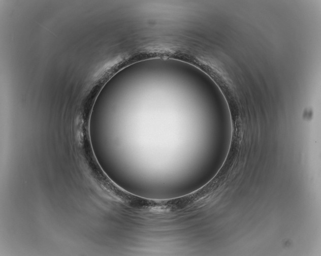 X0000094170692200710261109