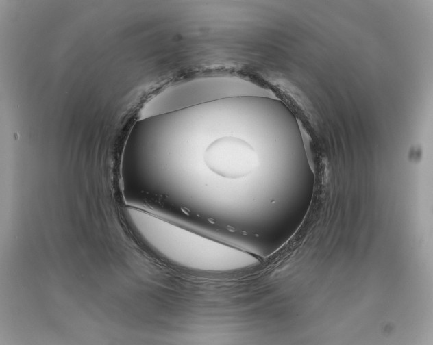 X0000094170693200710261109