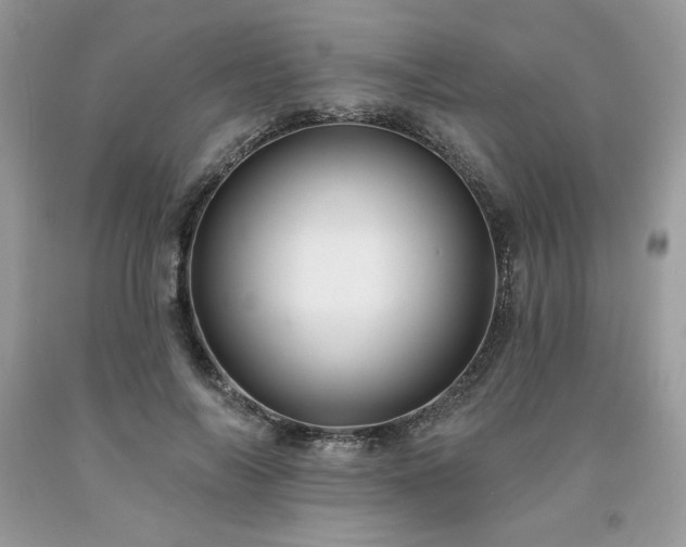 X0000094170694200710261109