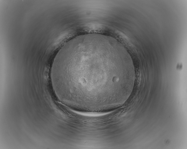 X0000094170695200710261109
