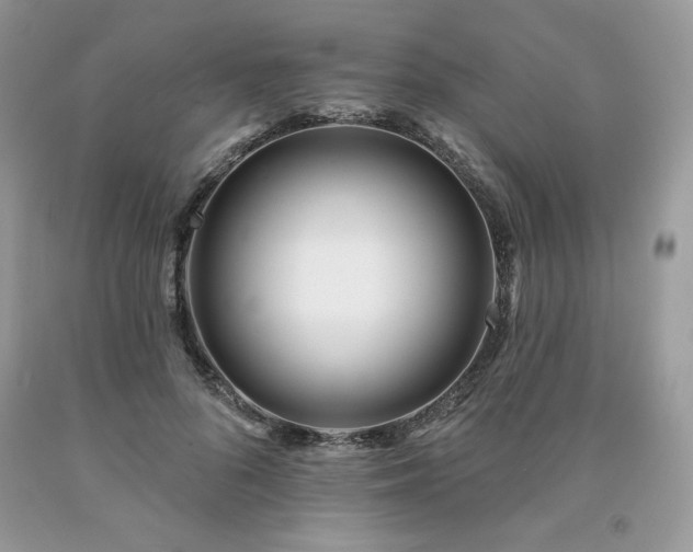X0000094170696200710261109