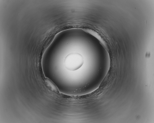X0000094170697200710261109