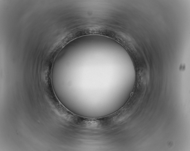 X0000094170698200710261109
