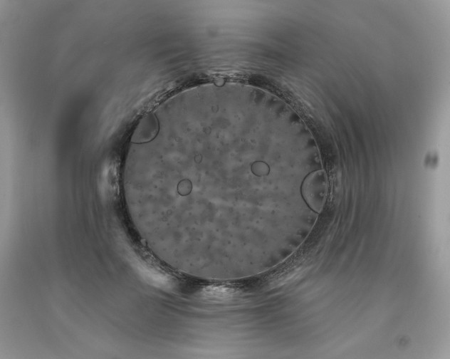 X0000094170699200710261109