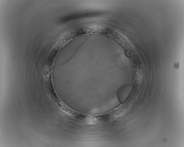 X0000094170701200710261109