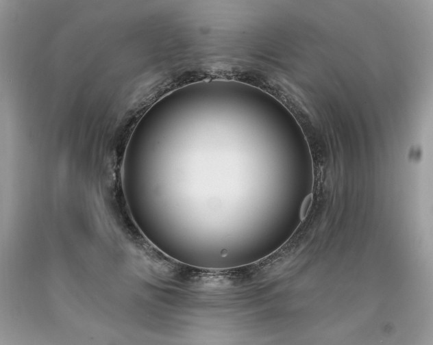 X0000094170702200710261109