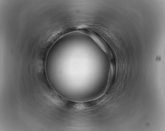 X0000094170704200710261109