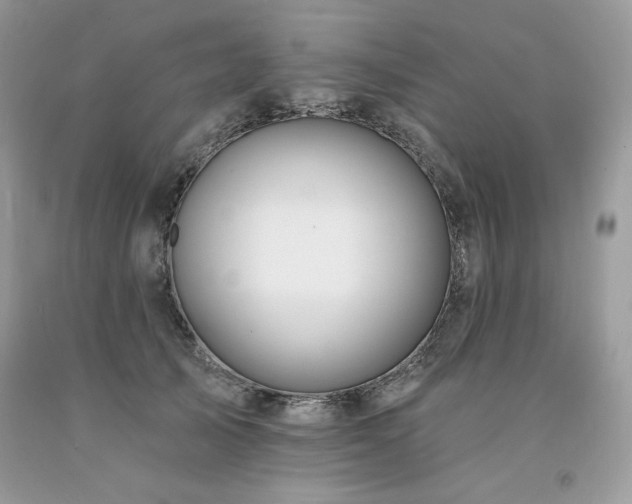 X0000094170705200710261109