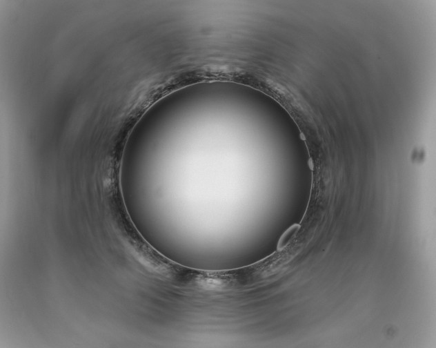 X0000094170706200710261109
