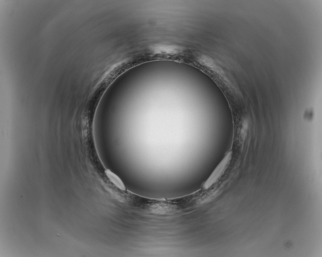 X0000094170708200710261109