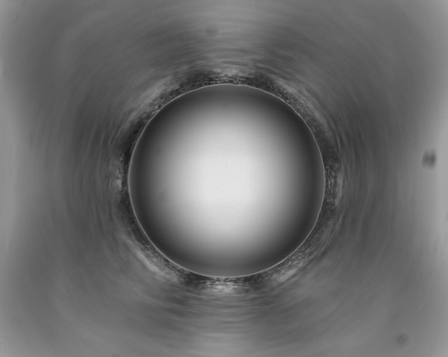 X0000094170710200710261109