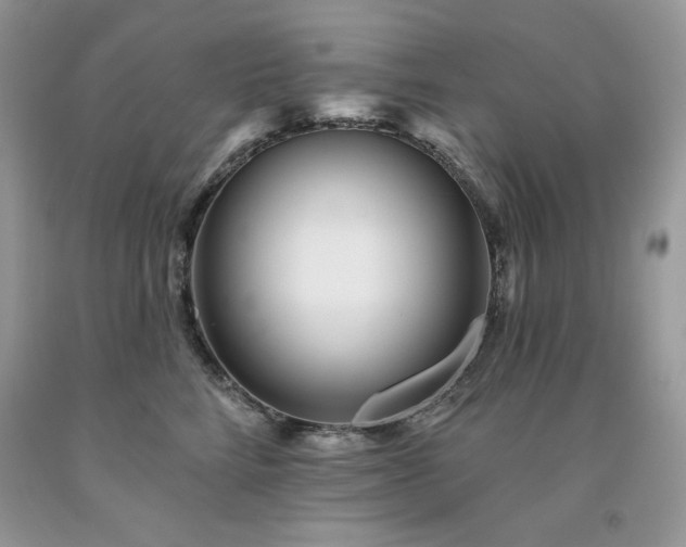 X0000094170712200710261109
