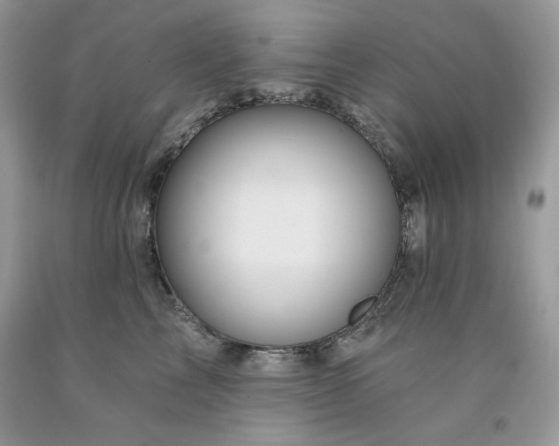 X0000094170713200710261109