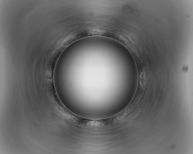 X0000094170714200710261109
