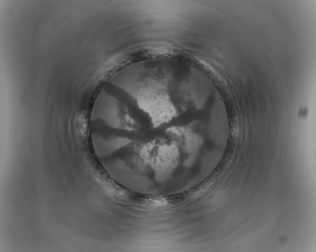 X0000094170715200710261109