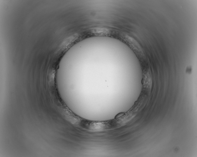 X0000094170717200710261109
