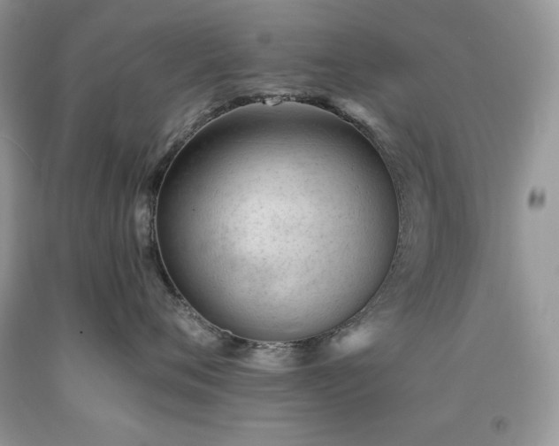 X0000094170720200710261109