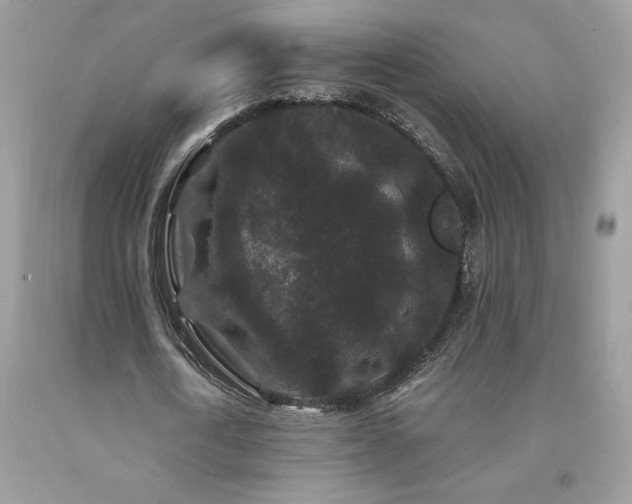 X0000094170722200710261108