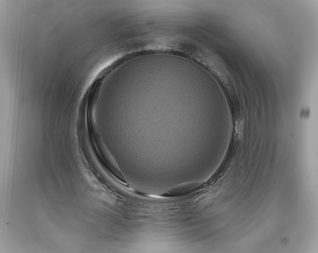 X0000094170724200710261108