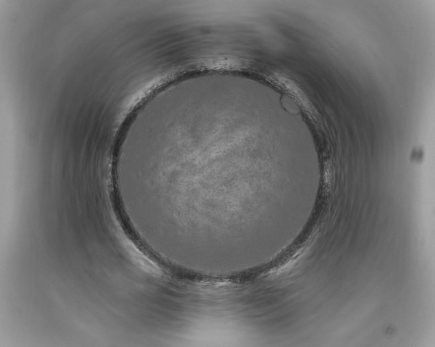 X0000094170725200710261108