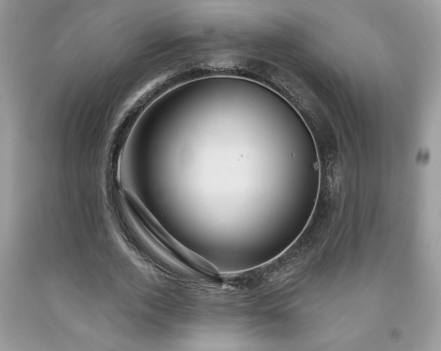 X0000094170728200710261108