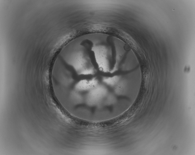X0000094170729200710261108