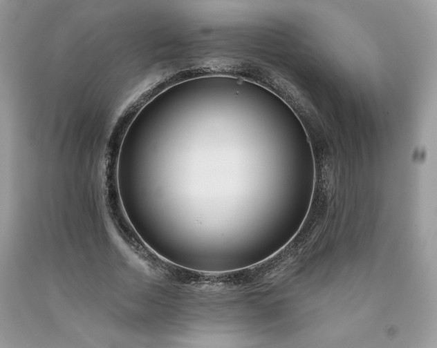 X0000094170730200710261108