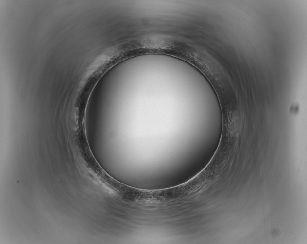 X0000094170731200710261108