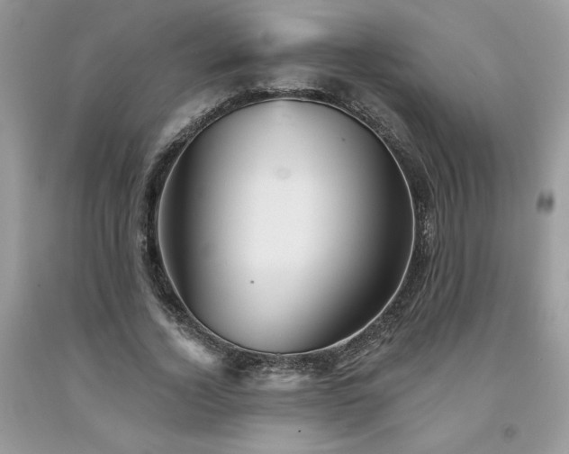 X0000094170732200710261108