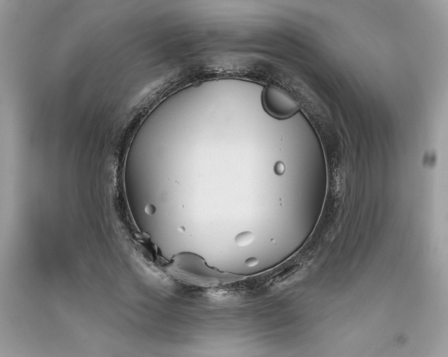 X0000094170733200710261108