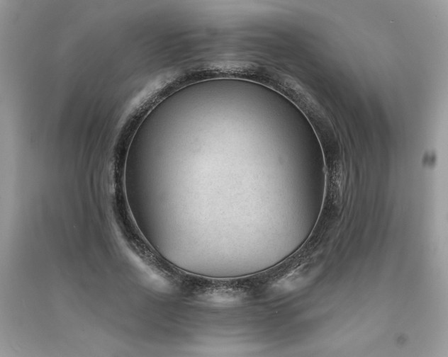 X0000094170734200710261108
