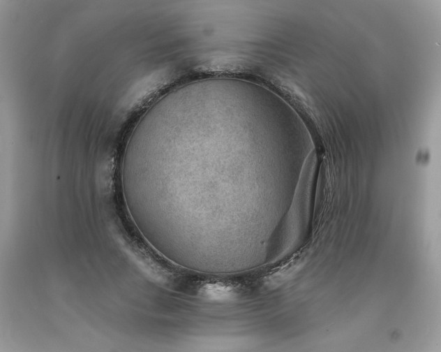 X0000094170735200710261108