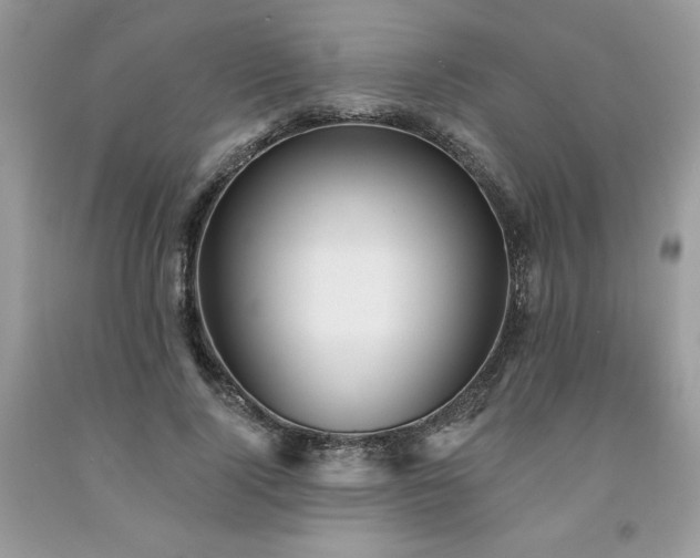 X0000094170740200710261108