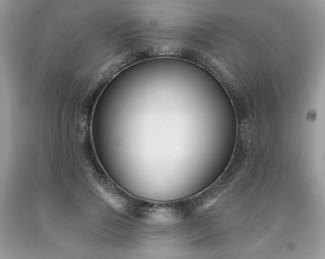 X0000094170741200710261108