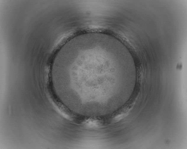 X0000094170742200710261108