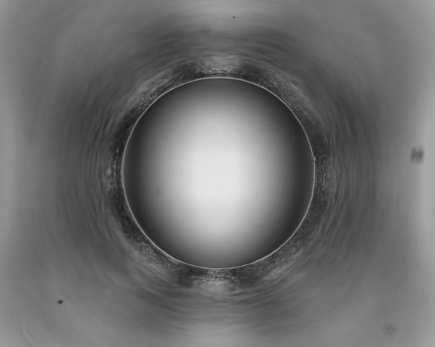 X0000094170743200710261108