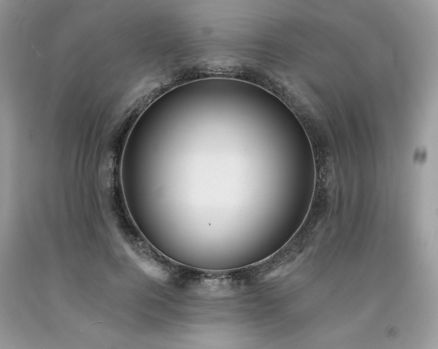 X0000094170744200710261108
