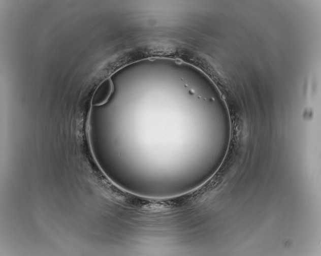 X0000094170745200710261108